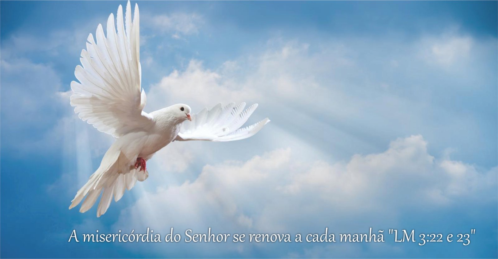  CARTA AOS IRMÃOS E AMIGOS DA CCB